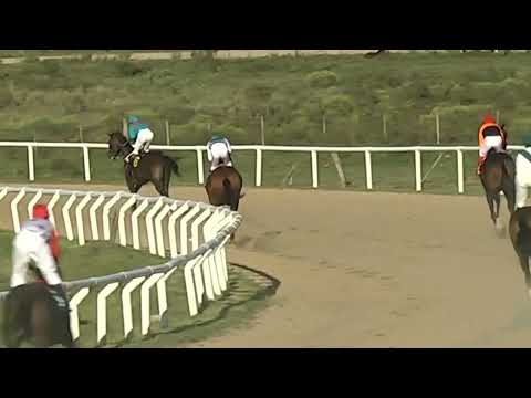 SINT FLORIDA 230420 c08 - 1° CORAZON FELIZ