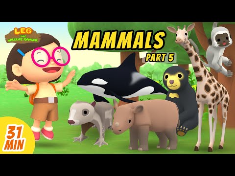 Mammals Minisode Compilation (Part 5/5) - Leo the Wildlife Ranger | Animation | For Kids