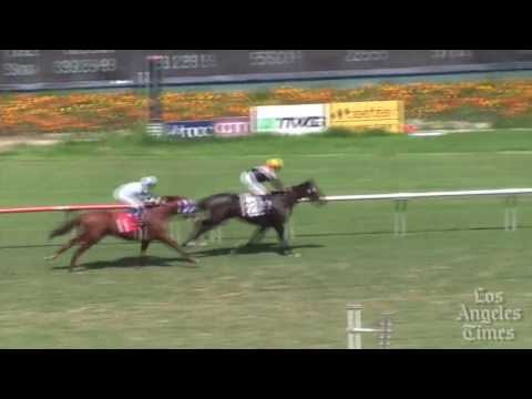 Marketing Mix wins final Sunset Handicap