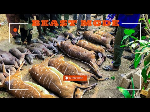 Hunting In Nigeria 🇳🇬. Ajura Hunters went BEAST MODE in this hunt !