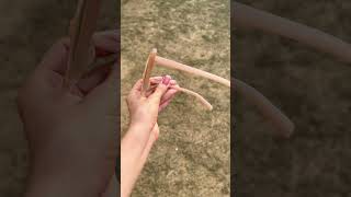 Lentes de sol ojo de gato beige