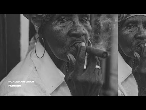 R M T - LEMON HAZE X PEDIGRO (LYRICAL VIDEO)