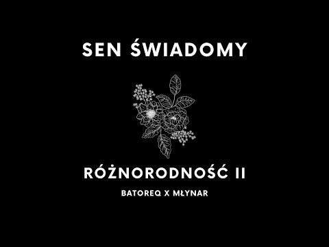 batoreq x młynar - sen świadomy (prod. bugi)