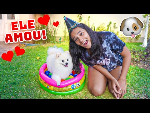 COMPREI UMA PISCINA DE BOLINHAS PARA O MEU CACHORRINHO! - JULIANA BALTAR