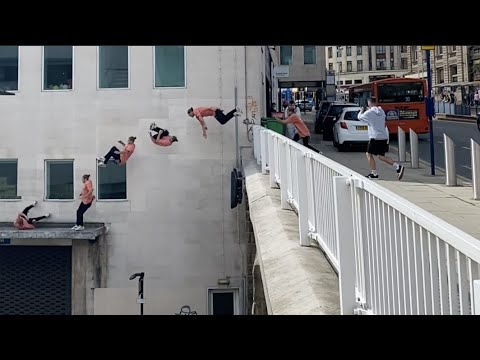 Domtomato - August 2021