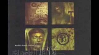 Revolting Cocks- Beers Steers and Queers (Live!)