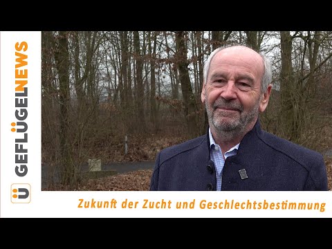 Geschlechtsbestimmung für 1 Euro ohne Gentechnik? - 6 Fragen an Prof. Dr. R. Preisinger