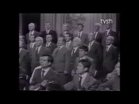 Kori ''LIRA'' .Per memedhene.