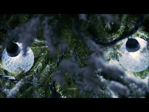 Lumières Lueur boréale NOMA