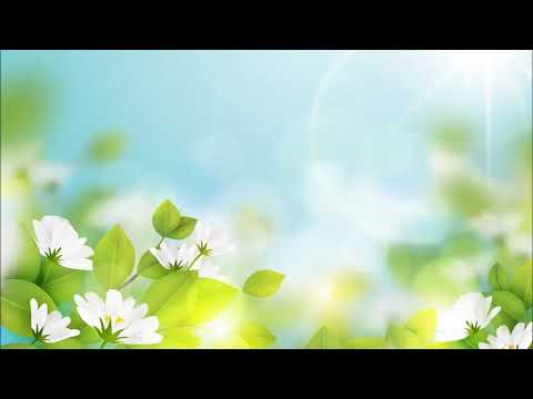 Fortress Of The Muslim part 1 & part 2 in [English/Arabic recitation by Shaykh Yahya Hawwa]