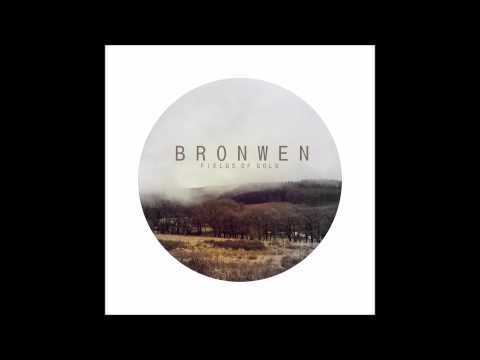 Bronwen Lewis - Fields of Gold (Audio)