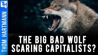 Why The Rich FEAR Unions Featuring Richard Wolff