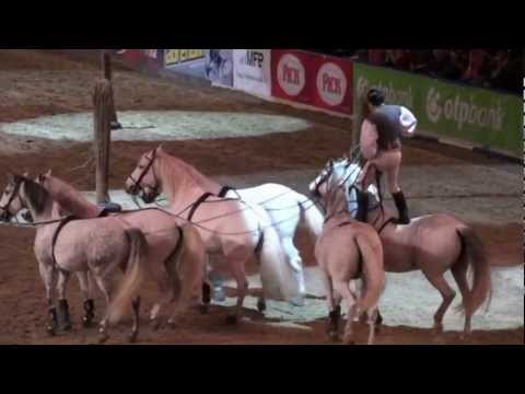 LORENZO - OTP Lovas Vilagkupa Show at World Cup Hungary, Budapest 2011 04.12.2011