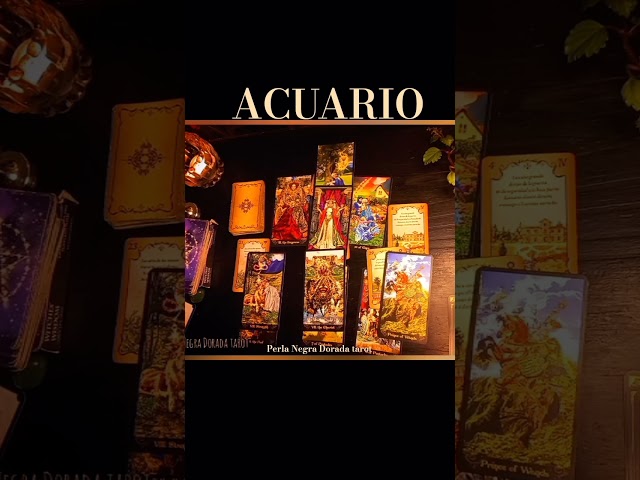 Vídeo relacionado con QUARKZMAN Tarot Signo Zodiacal Collar, Acero Titanio Tarot Carta Acuario Collares Para Mujeres Hombres, Oro