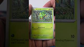 Opening Mega Zygarde ex Premium Collection Box #pokemon #pokemoncards #opening