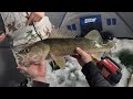 Video Thumbnail for SUPER LONG Walleye - Another new PB with the Lowrance Eagle Eye 9"