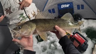 SUPER LONG Walleye - Another new PB with the Lowrance Eagle Eye 9"