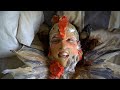 Girl And Girl Dance Now Official Music Video