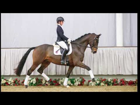 07  Fernet Wallach v. Fürst Grandios - Laudabilis