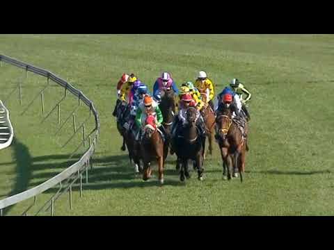 DESERT MIRACLE - ZULU KINGDOM EXPLORER GOLDEN SLIPPER (Grade 2)