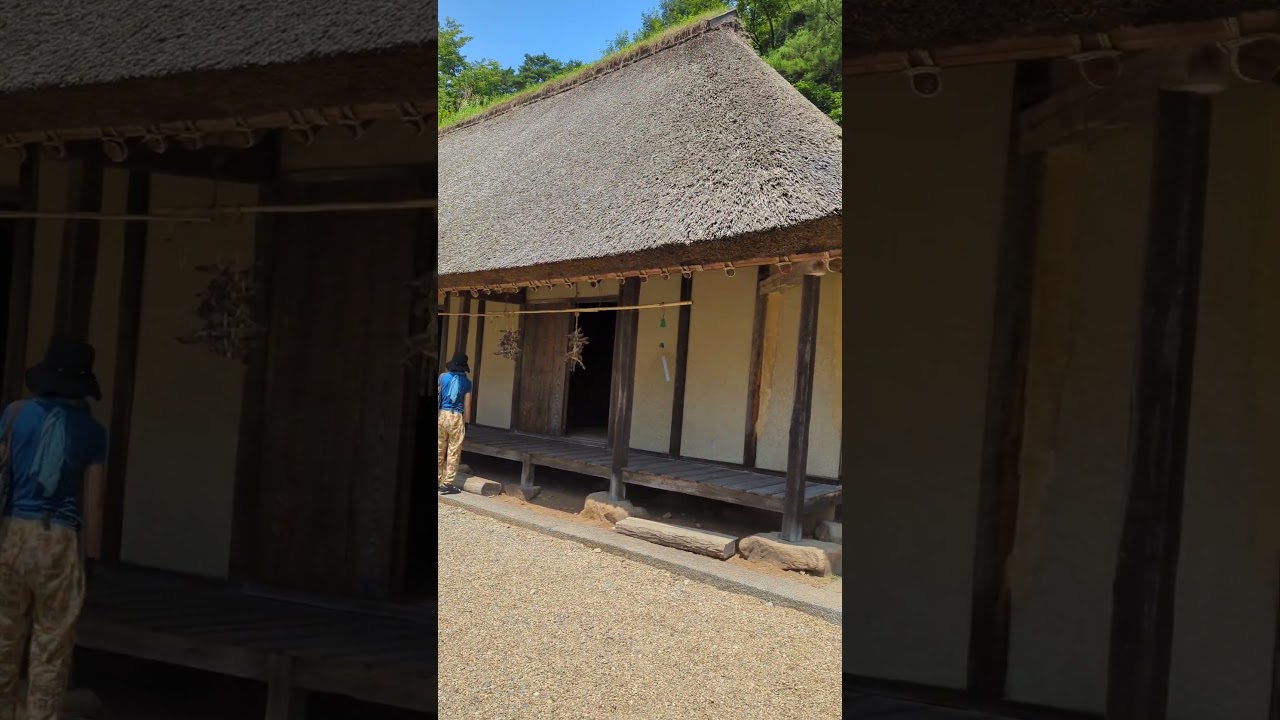 YouTube Short thumbnail