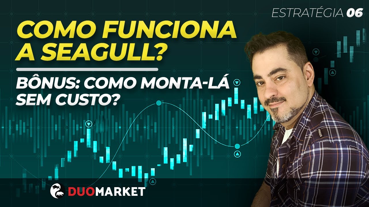 Como funciona a SEAGULL? | Bônus: Como monta-lá Sem CUSTO?