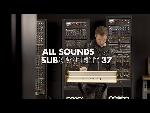 All Sounds | Subsequent 37 Video