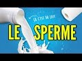 Top 8 des trucs à savoir sur le sperme Top 8 des trucs à savoir sur le sperme