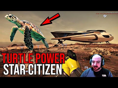 Star Citizen 3.6.2 Gameplay | RELEASE THE TURTLES
