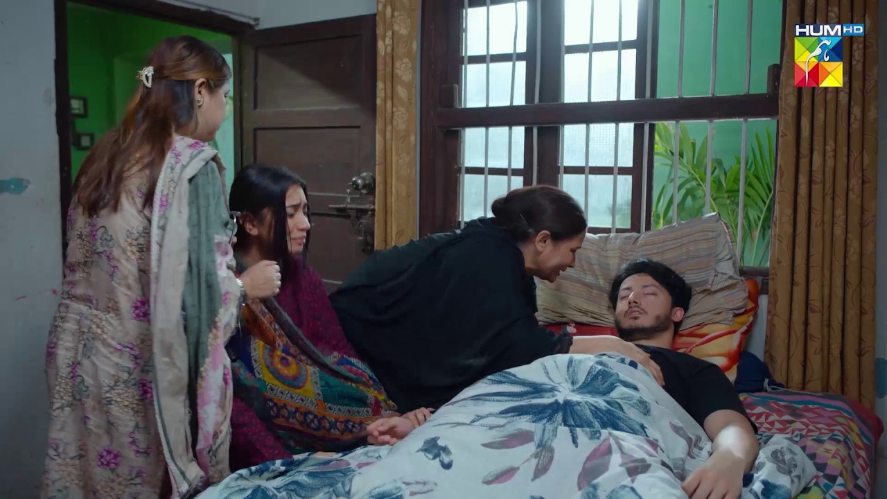 Sharik Bhi Pouncha Apne Anjam ko    Sharik Ki Hui Mout..! #hinatariq - Aye Dil Aazma Nahin - HUM TV