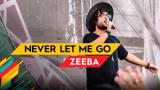 Never Let Me Go - Zeeba - Villa Mix Brasília 2017 ( Ao Vivo )