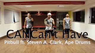 Can&#39;t Have - Pitbull ft. Steven A. Clark, Ape Drums - Coreografia Bônus - Ritmos Fit