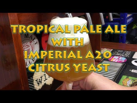 Tropical Pale Ale with Imperial A20 Citrus Yeast