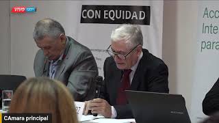 Seminario de Tratado Pandémico y sus consecuencias en la salud y el acceso a tecnologías