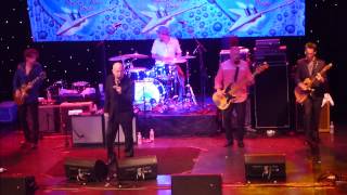 The Fabulous Thunderbirds- LRBC 21- Too Much Water