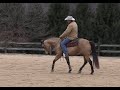 Introducing the Counter Bend (Episode 141) - Herm Gailey: A Lifetime with Horses