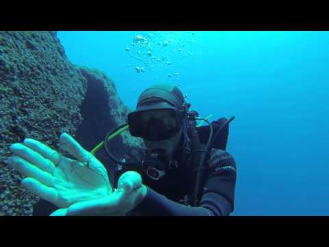 Scuba Diving, Felipe Fontenelle @ Funchal - Quinta do Lorde GOPRO HD