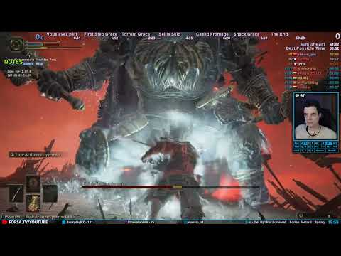 TENTATIVES DE WORLD RECORD 🌟 Any% Glitchless Speedruns