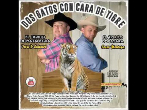 La sede de los guayabos jesus daniel quintero