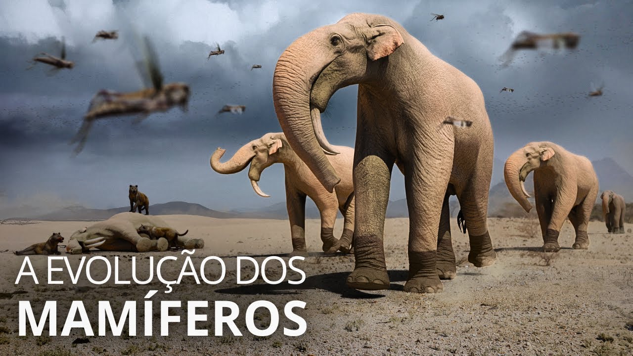 After the dinosaurs: How did mammals conquer the world?