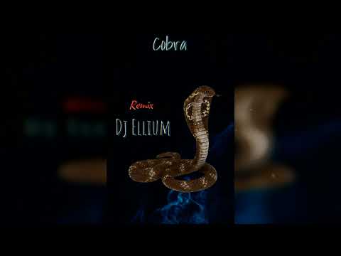 Dj Ellium █▬█ █ ▀█▀Denorecords x Sali Okka - Cobra )
