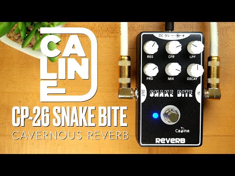 Caline CP-26 Snake Bite Reverb/Delay - BRAND NEW!! image 6
