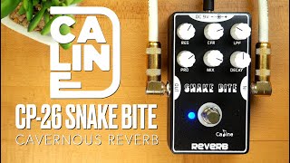 Video thumbnail for Caline CP-26 Snake Bite Cavernous Reverb by Pedal of the Day