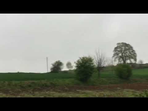 Setterellidört natural golf