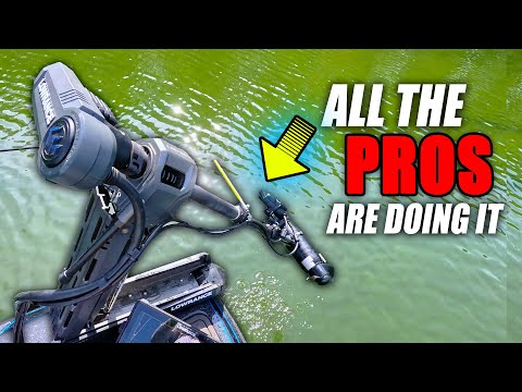 ALL the PROS are DOING it ~ its a GAME CHANGER!!