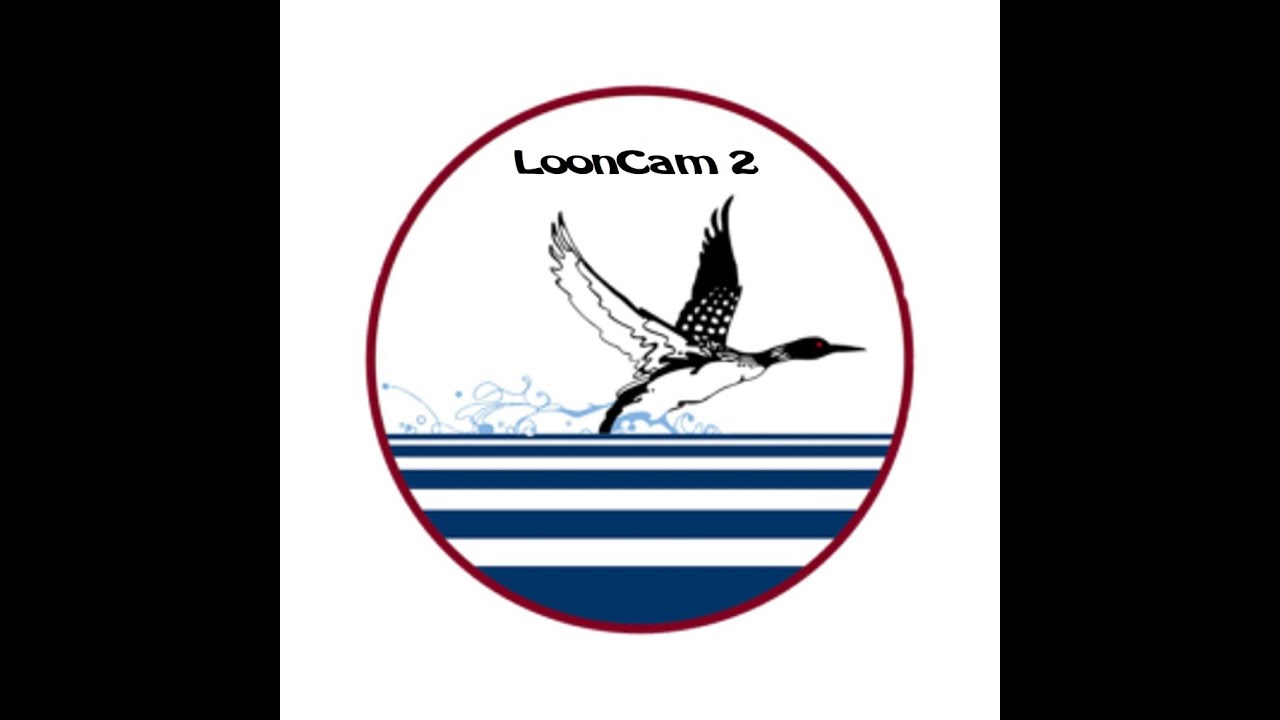 Live webcam view of Loon Nesting Platform Cam