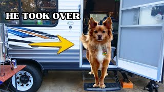 “Your dog CAN’T be happy LIVING in an RV”: Female couple on the FLORIDA TRAIL & SOUTHERN Cooking