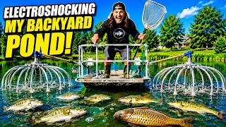 Electroshocking My BACKYARD POND for the First Time! SURPRISING Results...