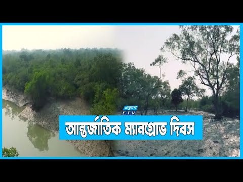 জলবায়ু পরিবর্তনের প্রভাবে হুমকির মুখে সুন্দরবন