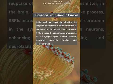 Chris Marcin - Ssri - Misc Originals